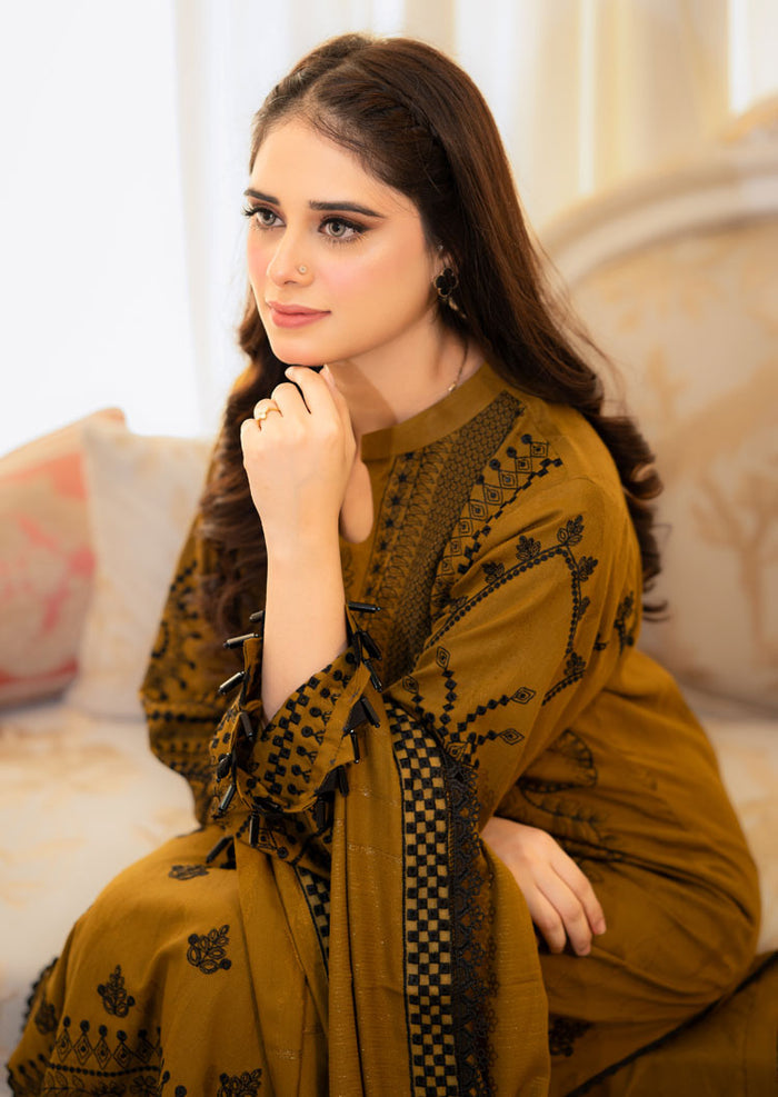 Zaitoon Embroidery 2Pcs